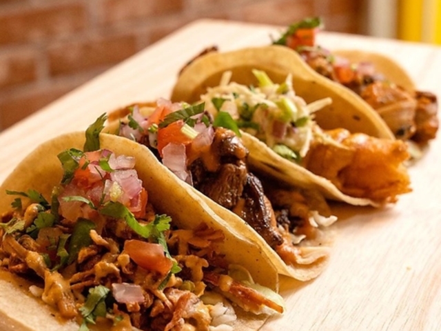 Tacomia Momochi Two Dogs ^R~A`c[hbOX̎ʐ^1