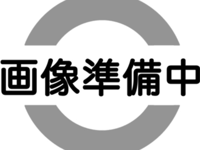 ēƂǂ낫 rܓX̎ʐ^1