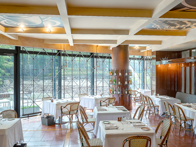 �J�W���A���C�^���A�� �o�W���R�̎ʐ^1