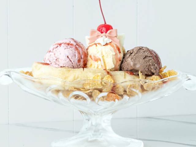 Melt �����g �l�c���w�̎ʐ^1