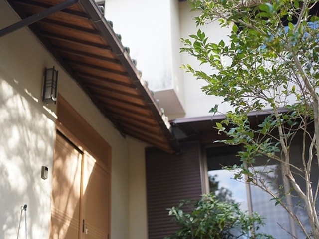 �D Ori by Wellbe�̎ʐ^1