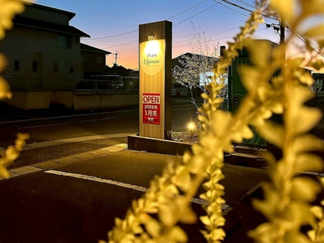 PASTA EFFIMERO pX^ GtB̎ʐ^1