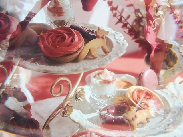 atelier renard harajuku�̎ʐ^1