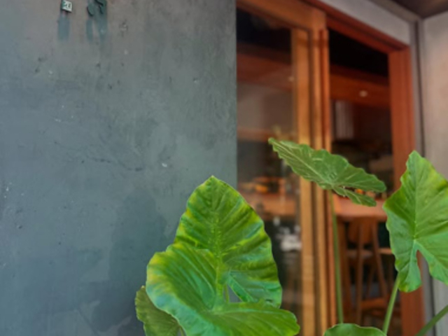 �ނ��Ⴋ�̎ʐ^1