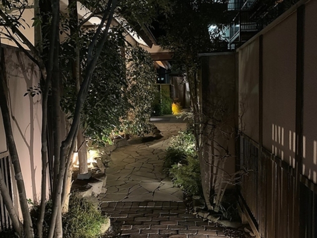 �����R�̎ʐ^1