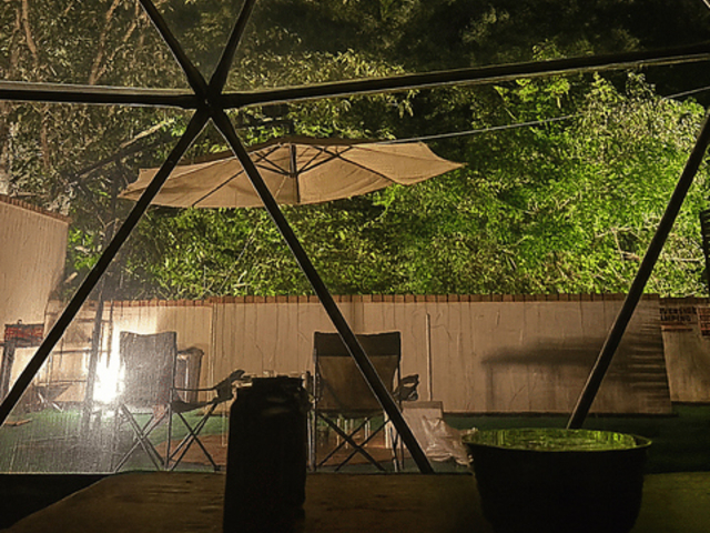 ���o�[�T�C�h�O�����s���O�㐣��̎ʐ^1