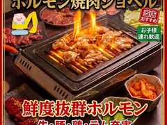 �z�������ē� �V���x�� �l���̎ʐ^1