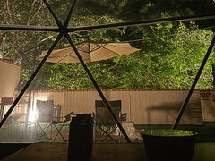 ���o�[�T�C�h�O�����s���O�㐣��̎ʐ^1