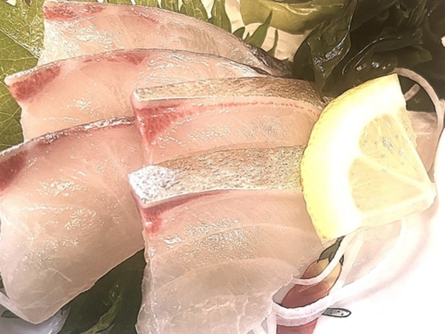 �n�싏�����@�|�m���̎ʐ^1