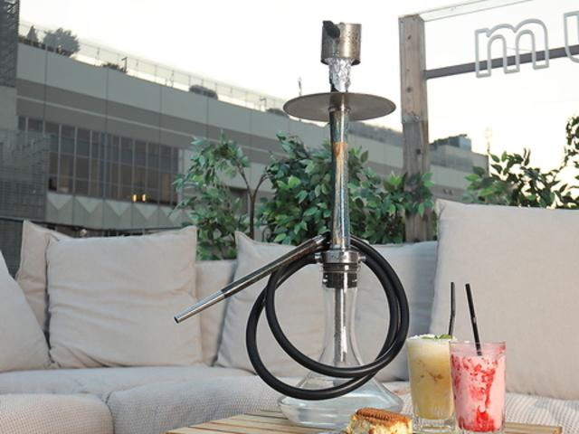 musch �b��������X�̎ʐ^1