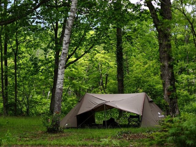 �ˉB�C�[�X�^���L�����v��