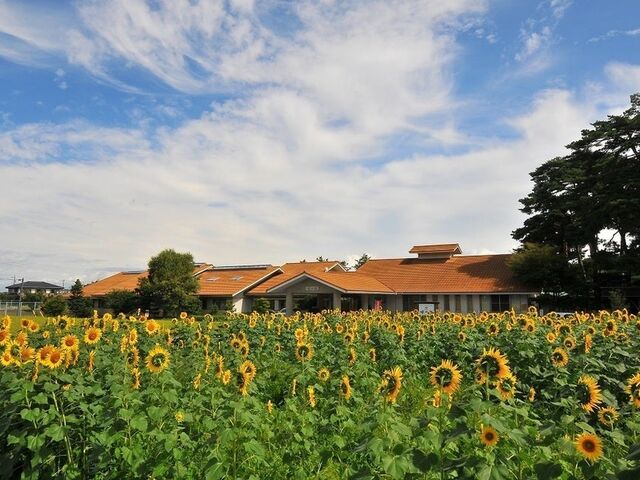 �������L�����v��i�������j�̎ʐ^1