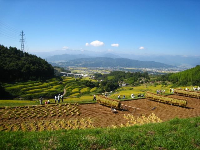 �H�̈�q�i9���j_��q�̒I�c