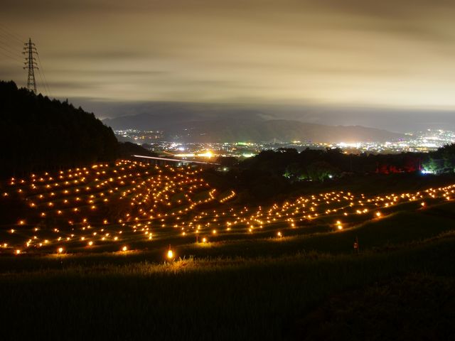 �ق���΂܂�i7���ŏI�y�j�j_��q�̒I�c