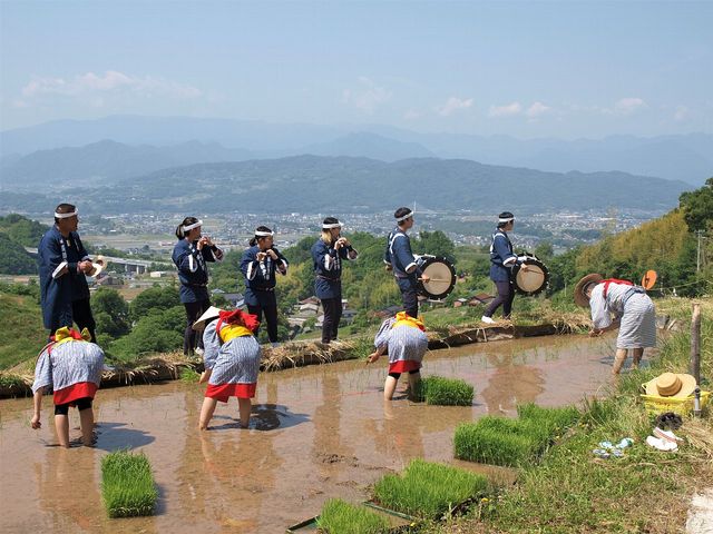 ���c�A���܂�i5�����{�j_��q�̒I�c