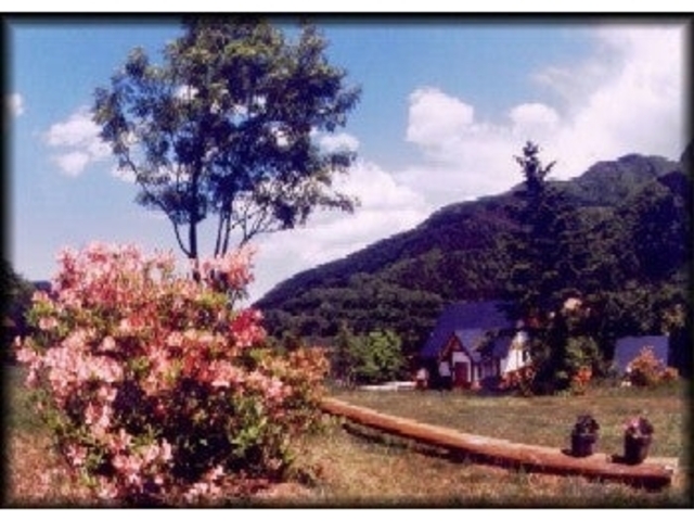 �~���V�^�E�q���Y�I�[�g�L�����v��̎ʐ^1