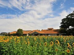 �������L�����v��i�������j�̎ʐ^1