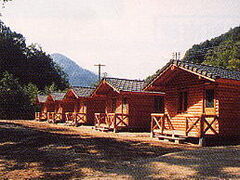 �r�̓��L�����v��̎ʐ^1