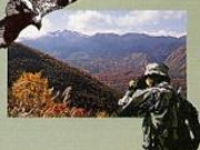 �������̍g�t�̎ʐ^1