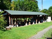 �V���̐X�I�[�g�L�����v��̎ʐ^4