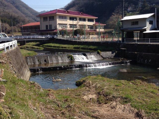 ���n�z�^���̗�