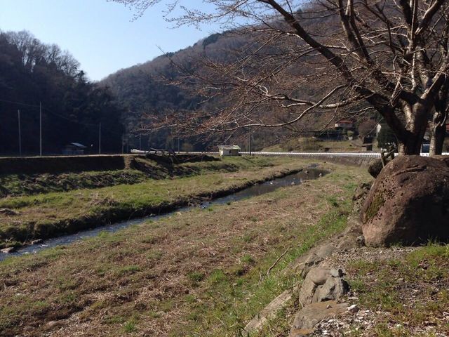 ���n�z�^���̗�