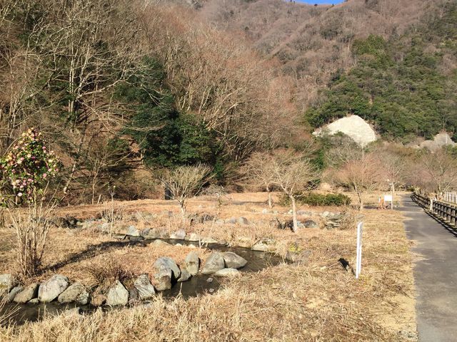 �����z�^����������