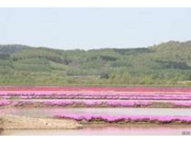 �����n��ō�_�ō�