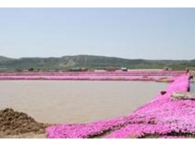 �����n��ō�_�ō�