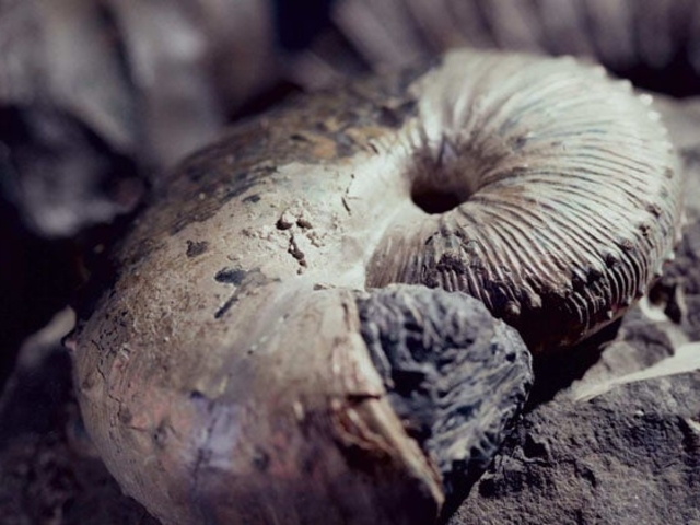 ���쒬�G�R�~���[�W�A���Z���^�[