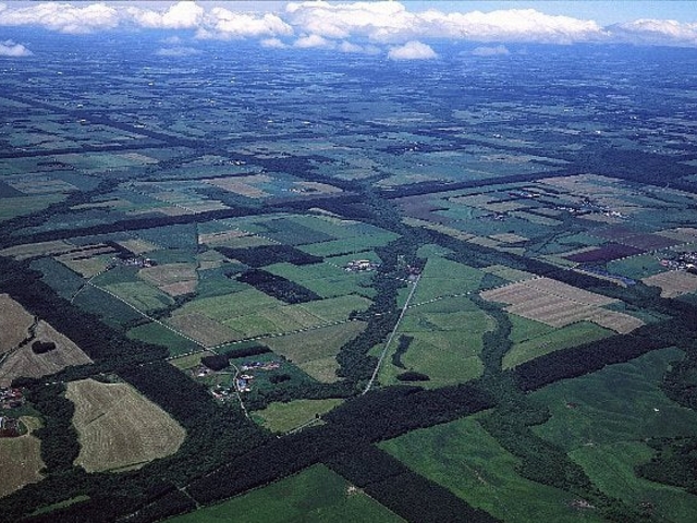 ������n�̊i�q��h����