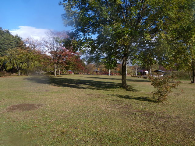 �Ȃ̐_�L��L�����v��