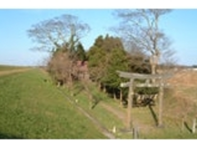 ���_�Ђ̎ʐ^1