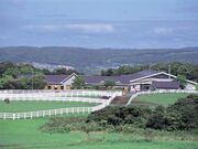 ���C�f�B���O�q���Y�Ó��̎ʐ^1