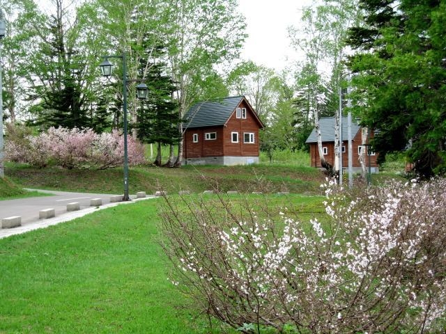 �ΔȃL�����v��_��f���ΔȃL�����v��