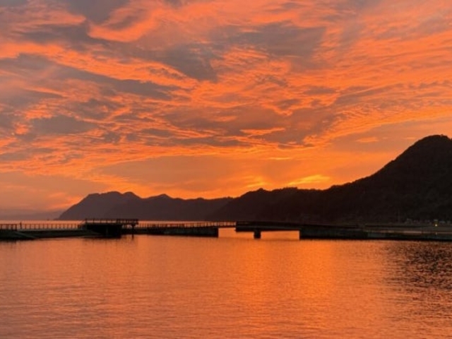 �L�Y�C�l�����̗[�Ă�_�L�Y�C�l����