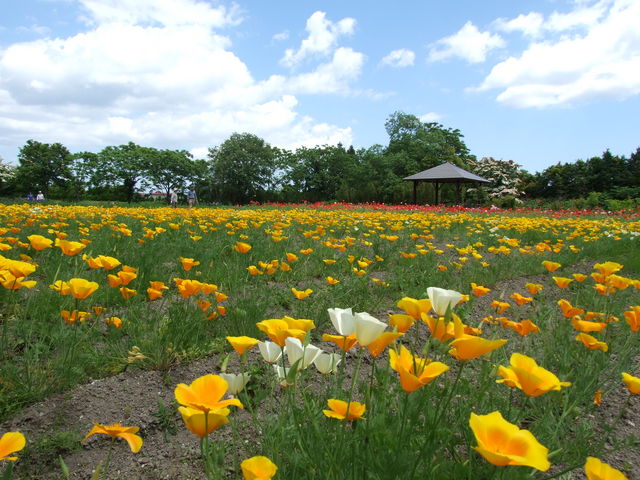 �|�s�[��_��Â��葺�@��䇋�