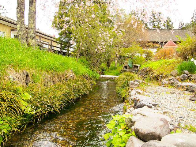 �����̗N��