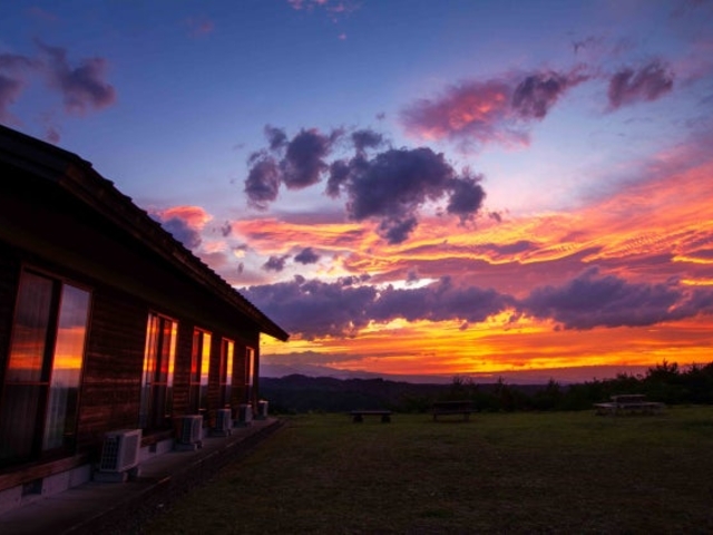 ���̋��[�z_�p�X�g�������̋�