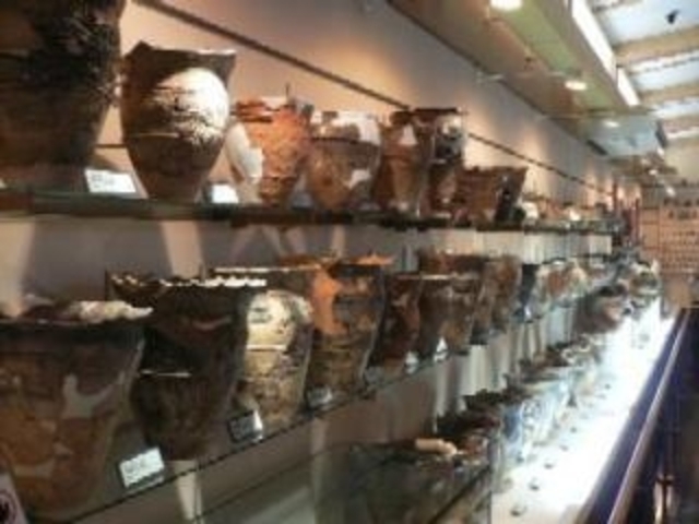 �哒�X�g�[���T�[�N����