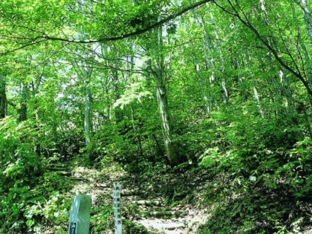 �R������