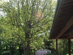 ���ԉƋ��ʓ@�뉀�̎ʐ^1