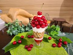 �i�J�m�t���[�c�i����ό��ʎ����j�̎ʐ^1