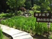 ��茧���Ԃ��Z���^�[�̎ʐ^4