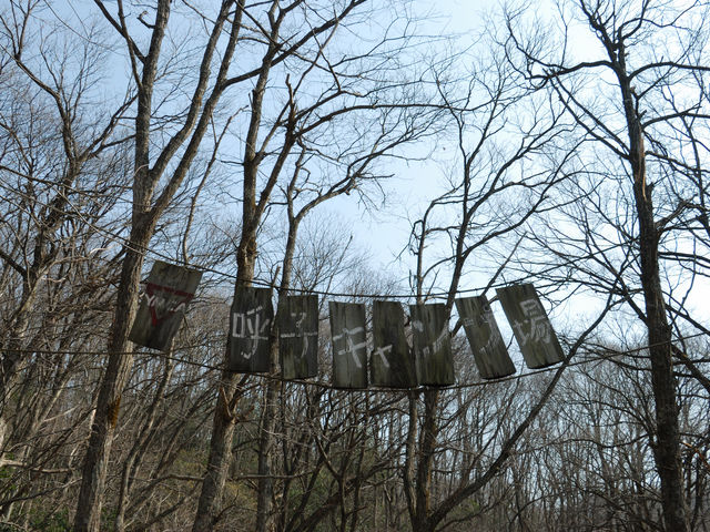 YMCA�Ďq�����Z���^�[�E�L�����v��