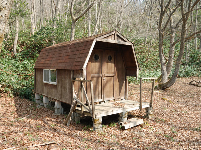 YMCA�Ďq�����Z���^�[�E�L�����v��