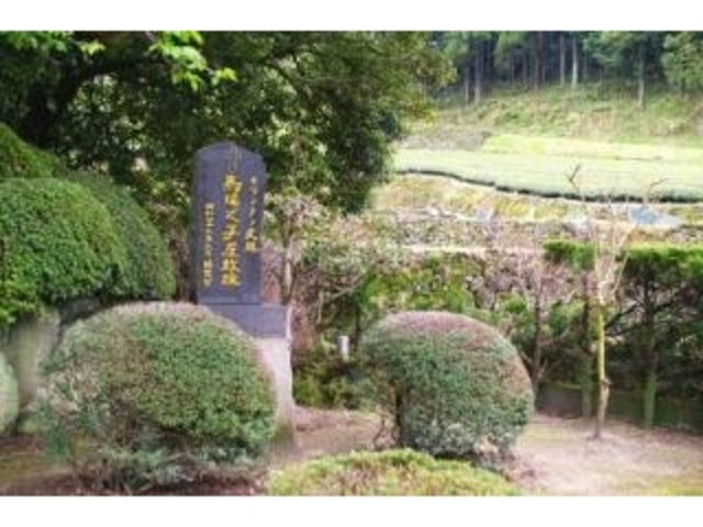 �L���V�^���j��