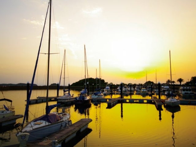 �t�b�V�����[�i�V���̎ʐ^1