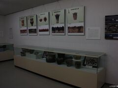 �����i�n�l�n�m�p�[�N�o�y�i�W�����̎ʐ^1