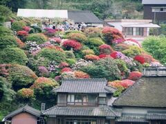 �����Ƃ����u���񂾂��v�̎ʐ^1